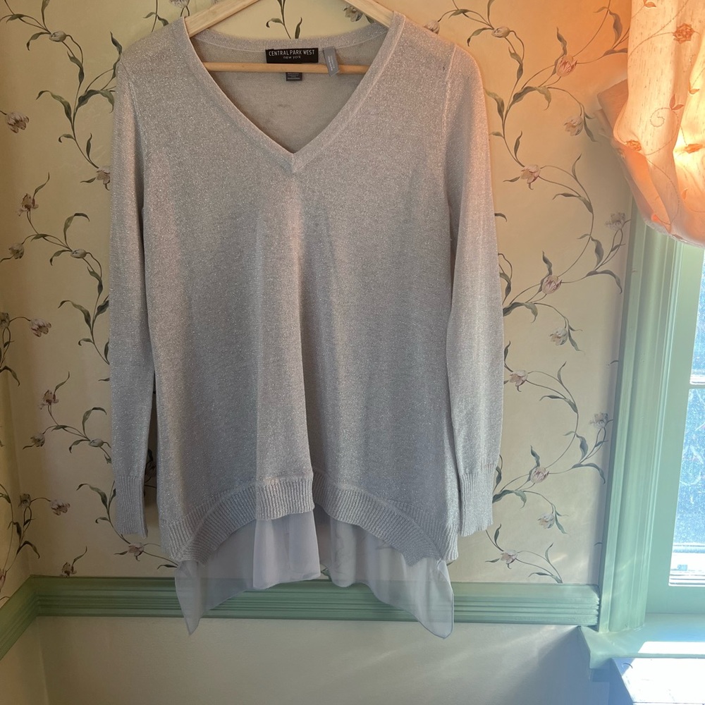 Sparkly top